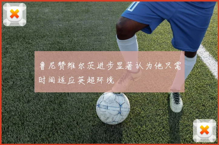鲁尼赞维尔茨进步显著认为他只需时间适应英超环境
