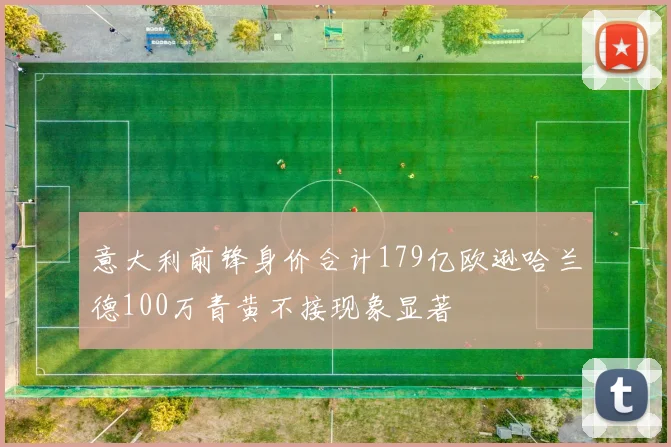 意大利前锋身价合计179亿欧逊哈兰德100万青黄不接现象显著
