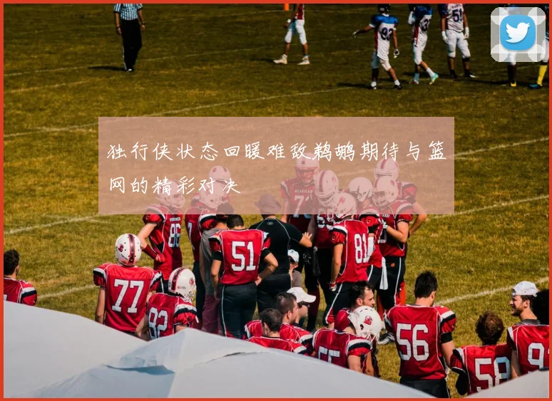 独行侠状态回暖难敌鹈鹕期待与篮网的精彩对决