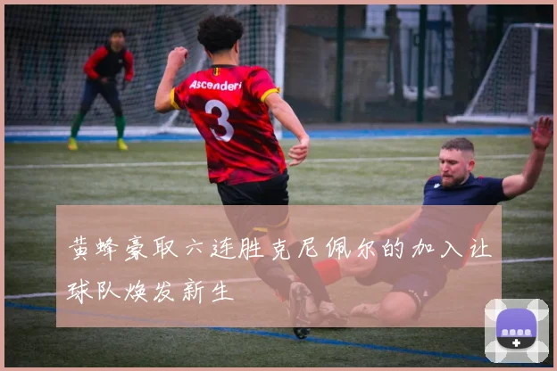 黄蜂豪取六连胜克尼佩尔的加入让球队焕发新生