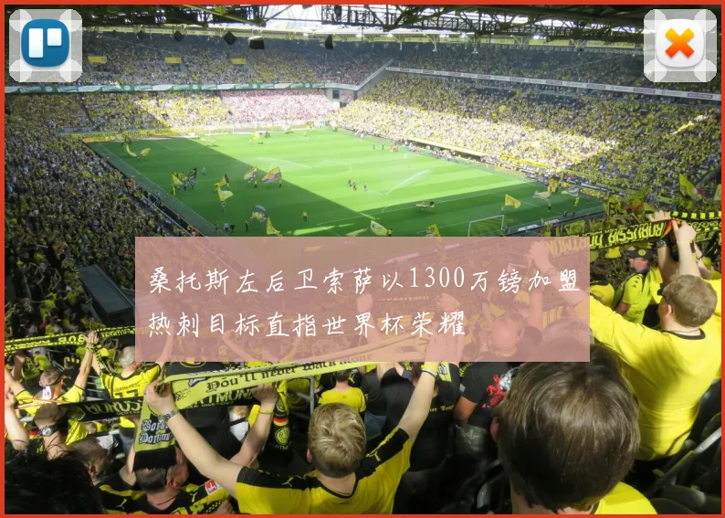 桑托斯左后卫索萨以1300万镑加盟热刺目标直指世界杯荣耀